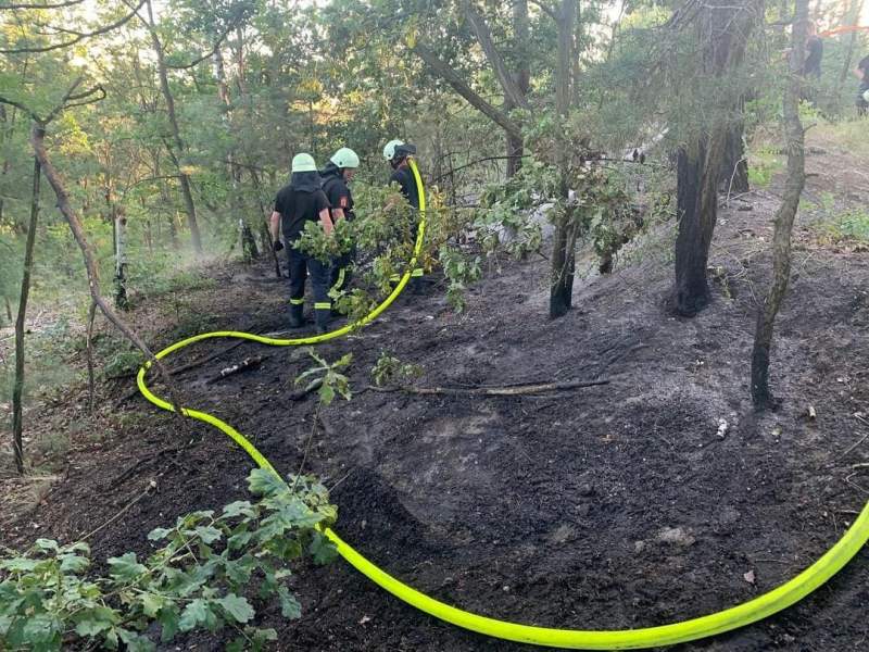 Freiwillige Feuerwehr Sedlitz