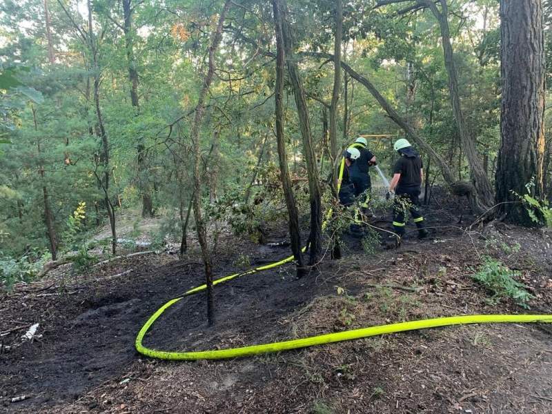Freiwillige Feuerwehr Sedlitz