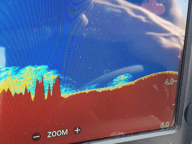 Freiwillige Feuerwehr Sedlitz