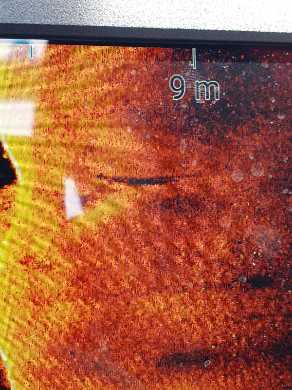 Freiwillige Feuerwehr Sedlitz