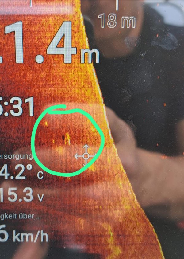 Freiwillige Feuerwehr Sedlitz