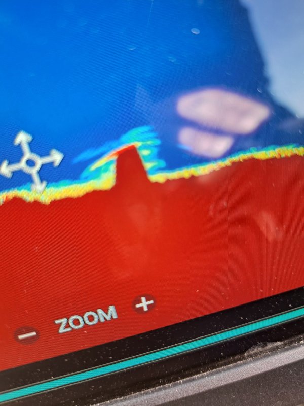 Freiwillige Feuerwehr Sedlitz