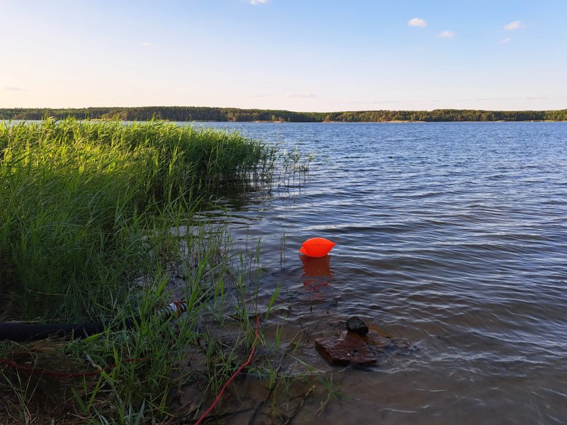 Freiwillige Feuerwehr Sedlitz