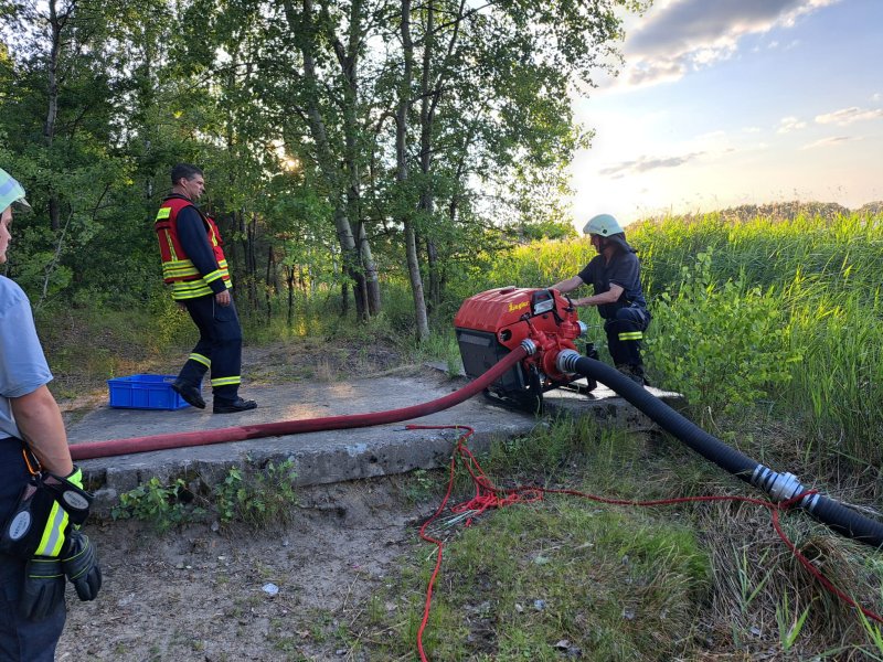 Freiwillige Feuerwehr Sedlitz
