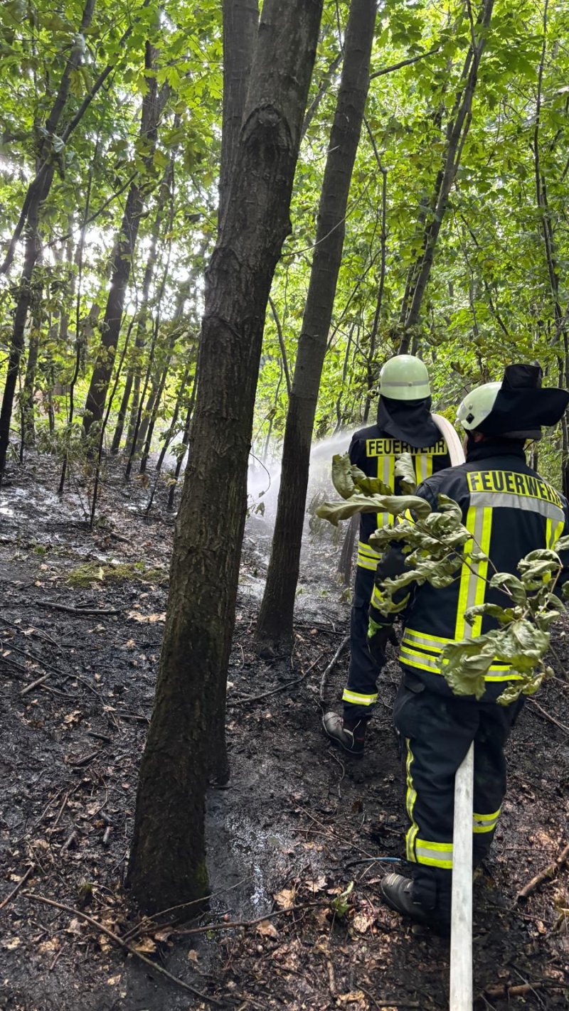 Freiwillige Feuerwehr Sedlitz