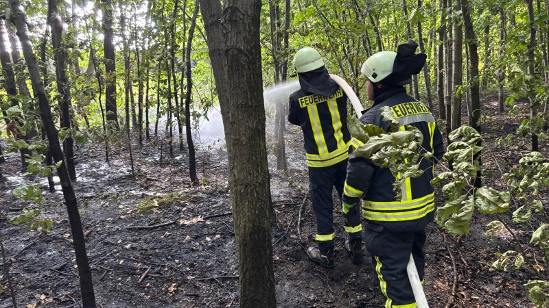 Freiwillige Feuerwehr Sedlitz