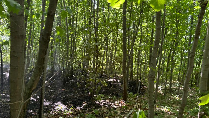 Freiwillige Feuerwehr Sedlitz