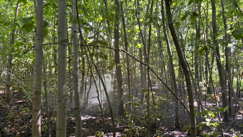 Freiwillige Feuerwehr Sedlitz