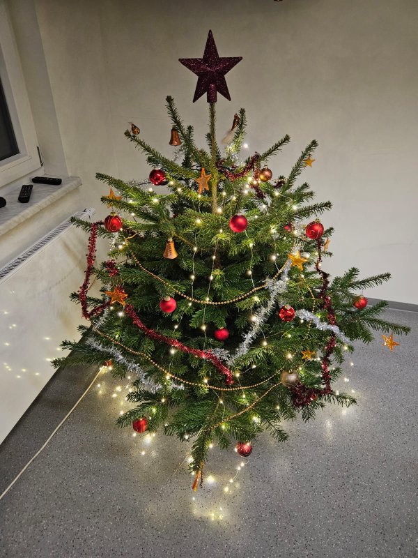 Freiwillige Feuerwehr Sedlitz