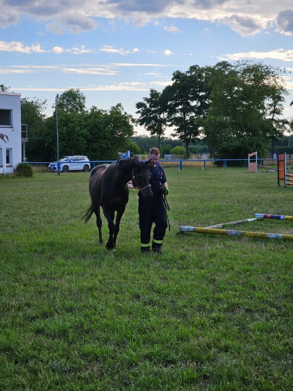 Freiwillige Feuerwehr Sedlitz