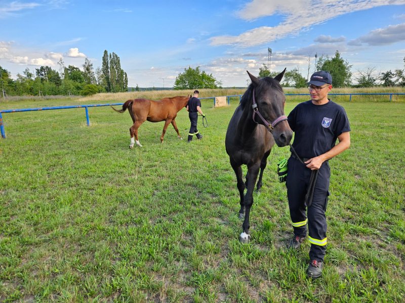 Freiwillige Feuerwehr Sedlitz