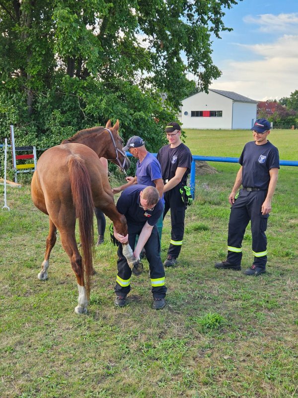 Freiwillige Feuerwehr Sedlitz
