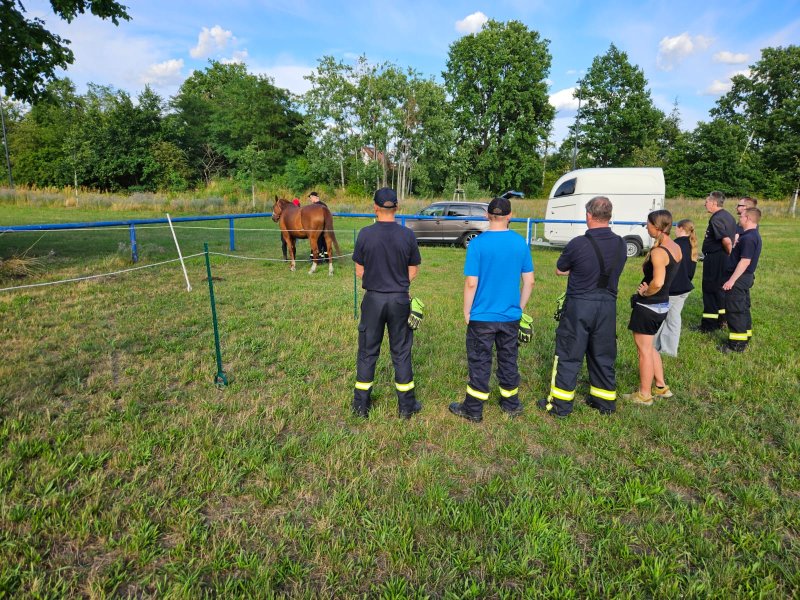 Freiwillige Feuerwehr Sedlitz