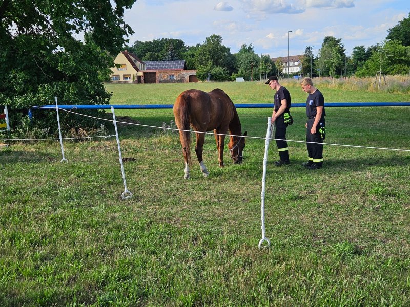 Freiwillige Feuerwehr Sedlitz